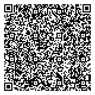 vCard 79238040299