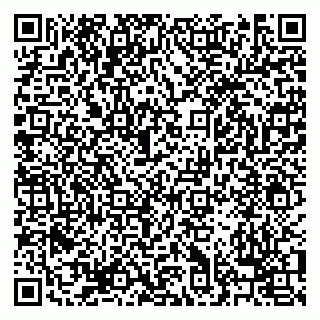 vCard 79238040300