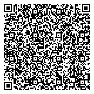 vCard 79238040317