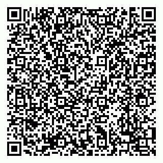 vCard 79238040321