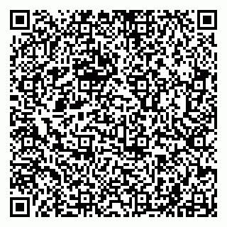 vCard 79241000315