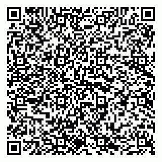vCard 79241000333