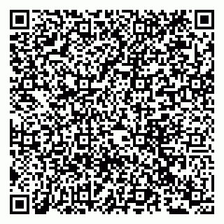 vCard 79241000399