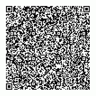 vCard 79241063345