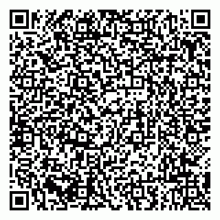 vCard 79243009317