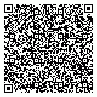 vCard 79244800387