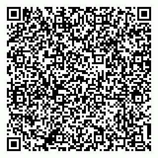 vCard 79245300271