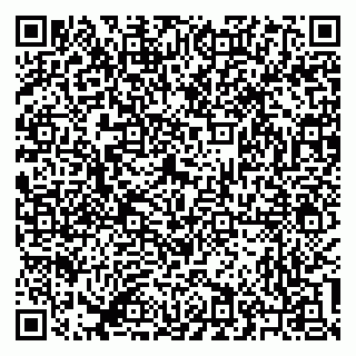 vCard 79245300378