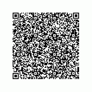 vCard 79245900381