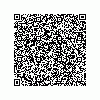 vCard 79245900387