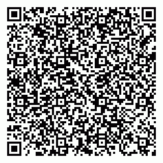 vCard 79248201729
