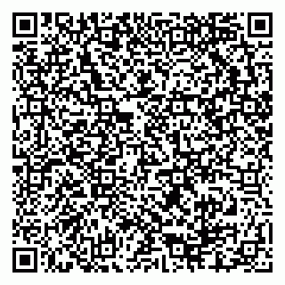 vCard 79248800138
