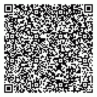 vCard 79248800311