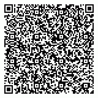 vCard 79250001331