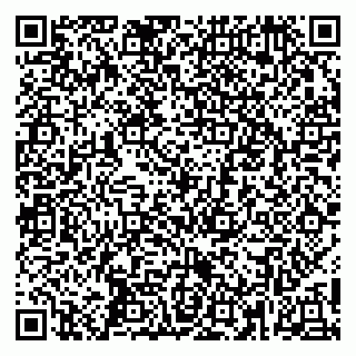 vCard 79250004039