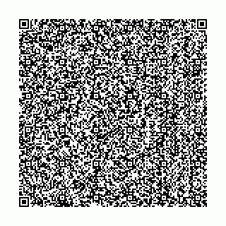 vCard 79250260424