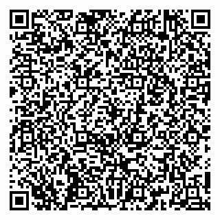 vCard 79250822383