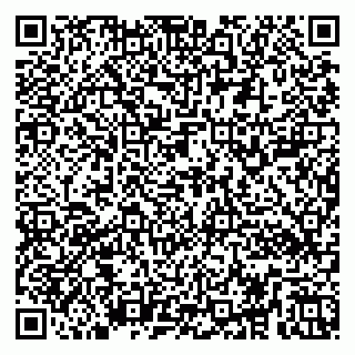 vCard 79252102385