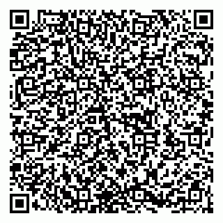 vCard 79252103019