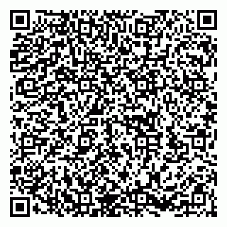 vCard 79252103033