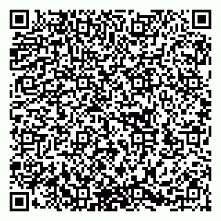vCard 79252103067