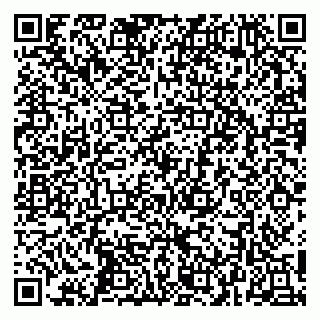 vCard 79252103204
