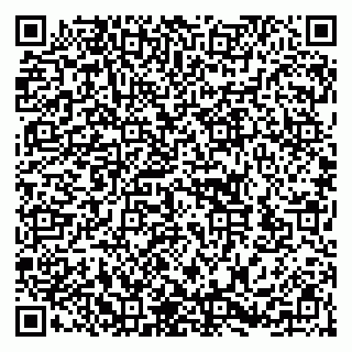 vCard 79252103206
