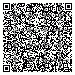 vCard 79252104027