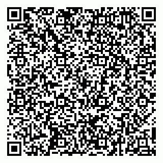 vCard 79252104028