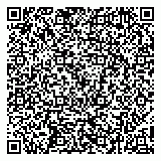 vCard 79252104029