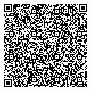 vCard 79252104031