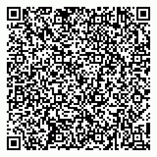 vCard 79252104033