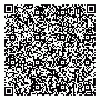 vCard 79252104035