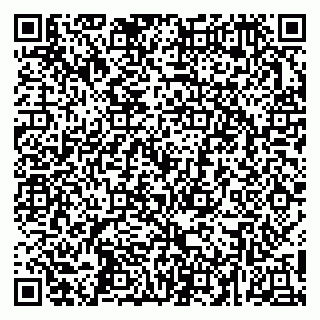 vCard 79252104038