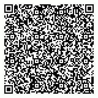 vCard 79252104047