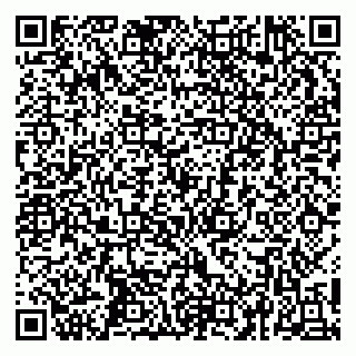 vCard 79252104063