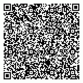 vCard 79252104067
