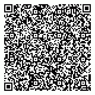 vCard 79252104068