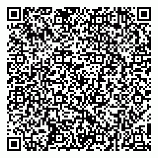 vCard 79252104071