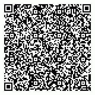 vCard 79252104078