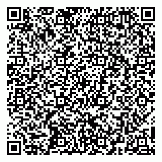 vCard 79252104088