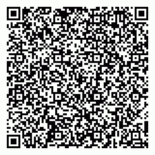 vCard 79252104118