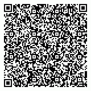 vCard 79252104119
