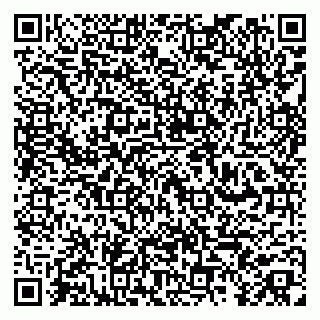 vCard 79252104128
