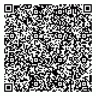vCard 79252104129