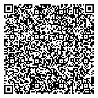 vCard 79252104132
