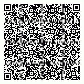 vCard 79252104133