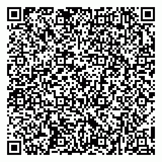vCard 79252104135