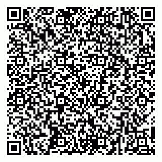 vCard 79252104137