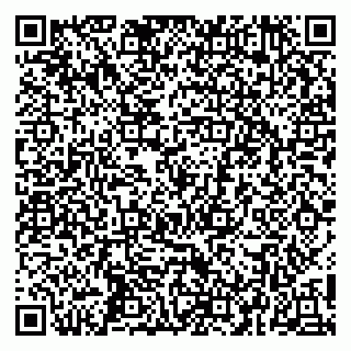 vCard 79252104141